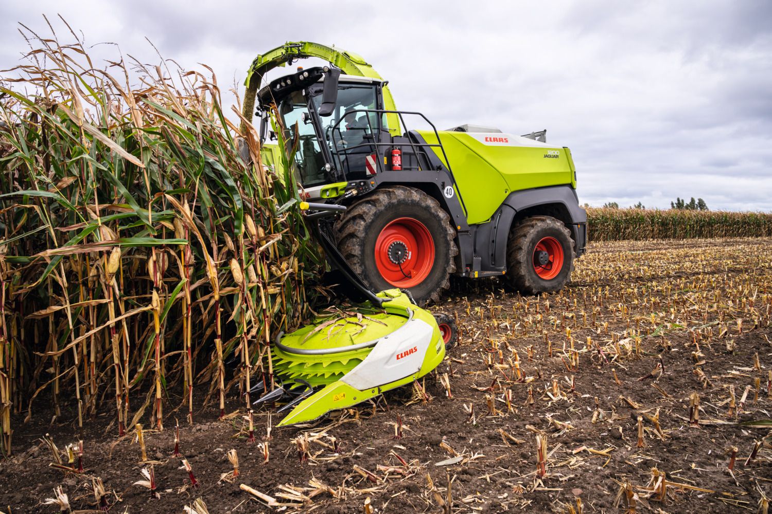 A CLAAS forage harvester, is harvesting corn in a field. The machine has large red wheels and is cutting down tall corn stalks on the left side of the image. The field shows rows of harvested corn stubble in the foreground and background under a cloudy sky.