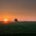 CASE STUDY: John Deere’s new 500R sprayer