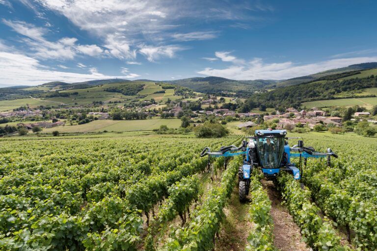 New Holland upgrades narrow vineyards straddle tractor and harvester range New Holland's 9.80N narrow-row self-propelled grape harvester in a vineyard