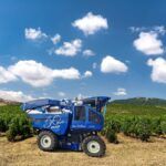 New Holland celebrates 50 Years of Braud innovation with new solutions for vineyards