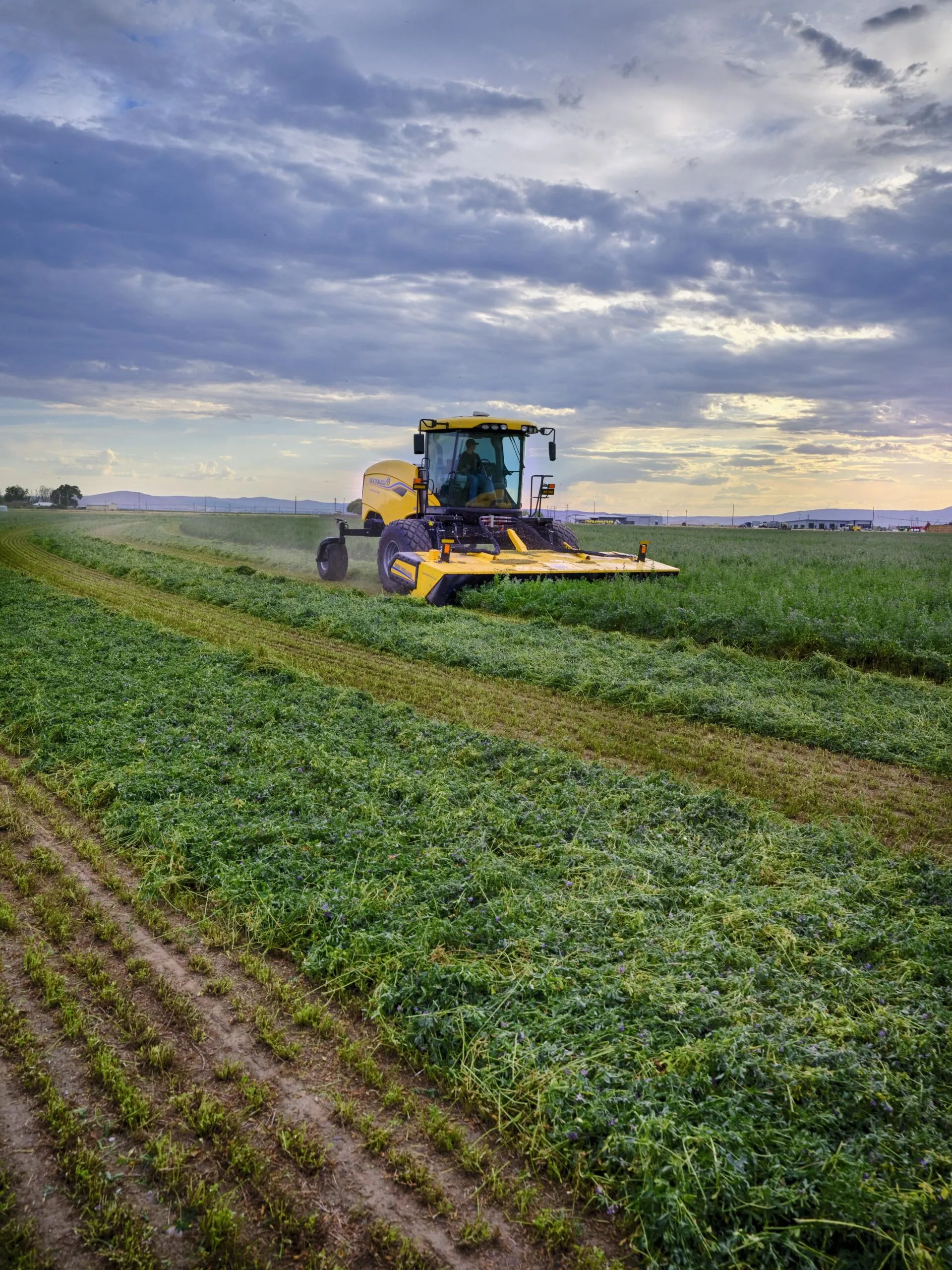 New Holland launches Speedrower 1 Series self-propelled windrowers