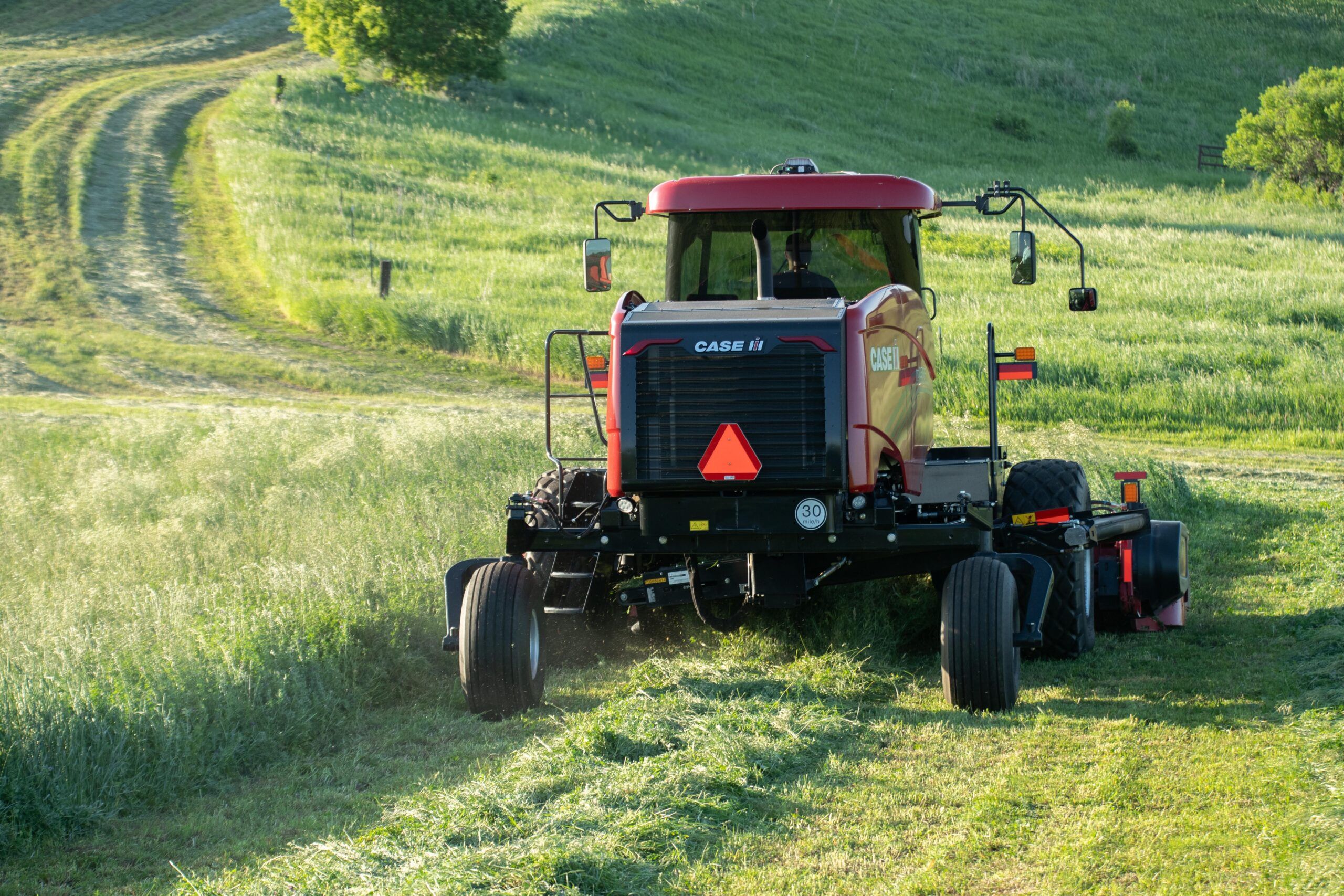 A red Case IH WD6 series windrower viewed from behind, driving up a grassy hillside alongside cut swaths with a 30mph transport sign on the rear.