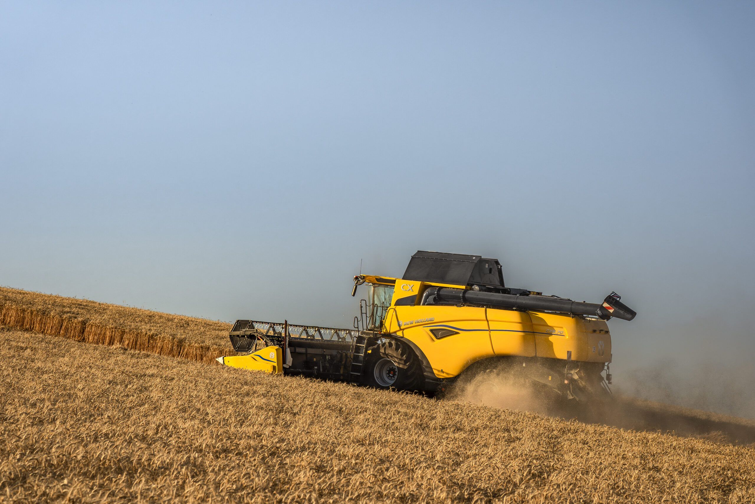 A yellow New Holland combine harvester cuts wheat on a sloping field, throwing up dust, with its header lowered to the crop