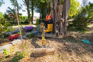 : A yellow Cat 301 CR micro excavator with an operator in an orange hi-vis vest digging in bark mulch beside a large tree in a landscaped garden