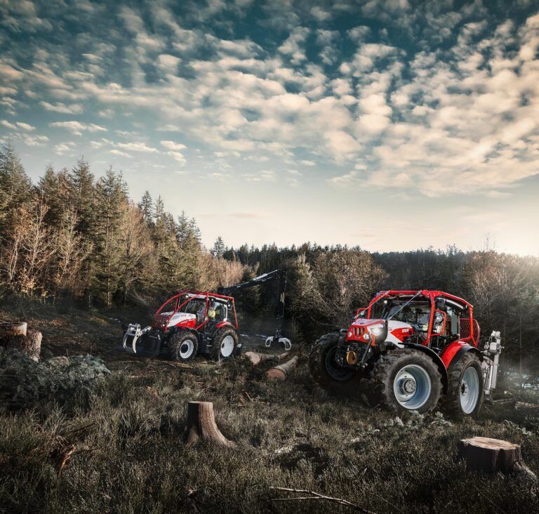 Steyr brings five-model forestry line-up to Interforst Two red Steyr forestry tractors in a cleared woodland at golden hour, one carrying a rear-mounted timber crane, among tree stumps and felled logs